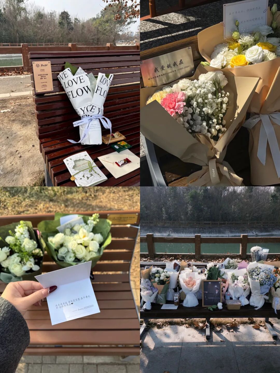 冬奥会世界纪录_值得好好活着的理由 好消息分享平台 冬奥会中国代表团